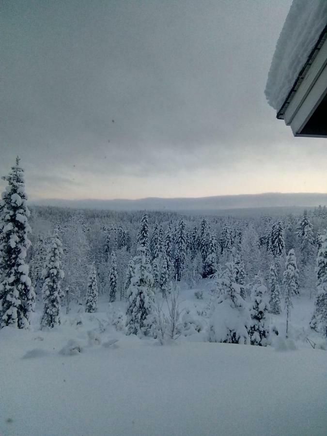 Metsorinne Kotila Экстерьер фото